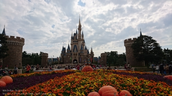 姉妹旅　東京ディズニーリゾート_d0335597_20200629.jpg