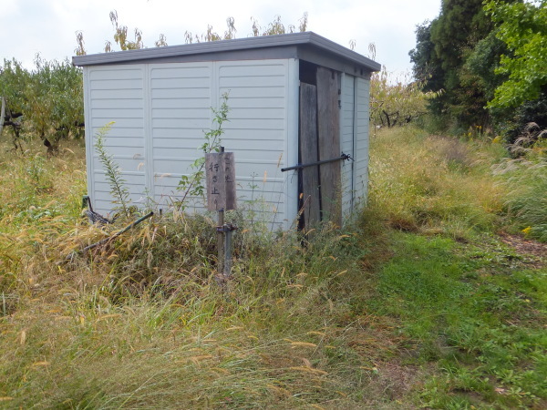 歩こう　池を見に行こう　（62）さいのかど下池　　小山田_b0212898_10074388.jpg