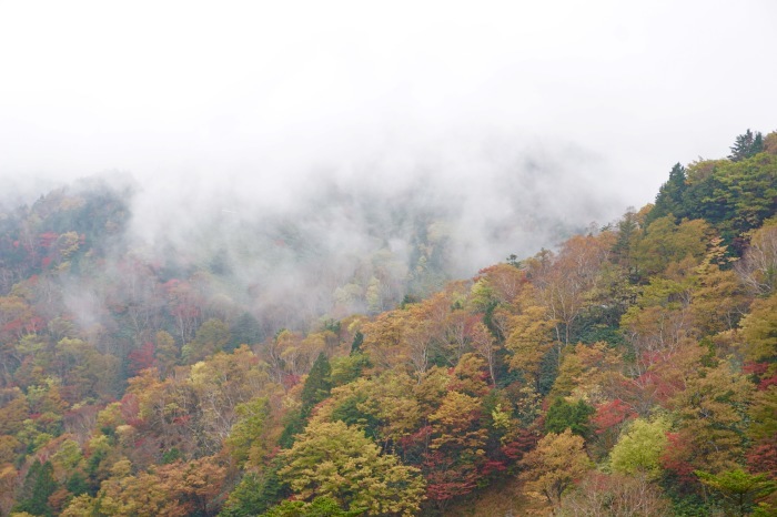 紅葉狩り山登りは霧の中。。。_b0047100_18490462.jpeg