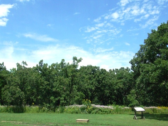 c0062603_07163627.jpg