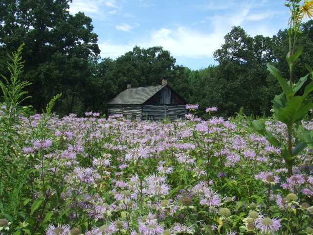 c0062603_07165965.jpg