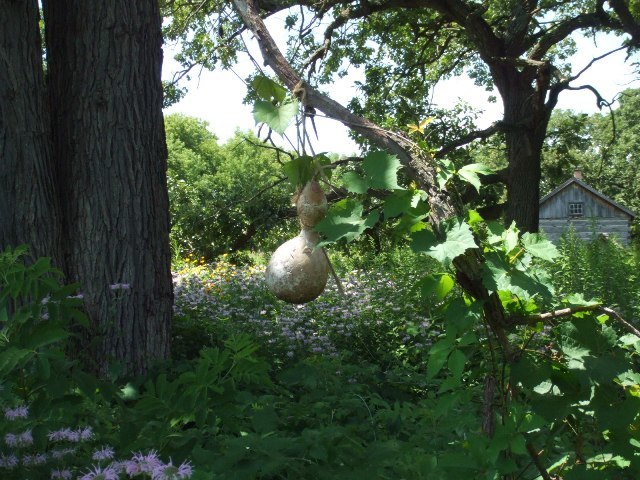 c0062603_07182399.jpg