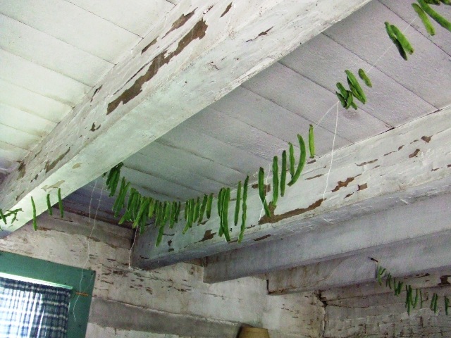 c0062603_07211765.jpg
