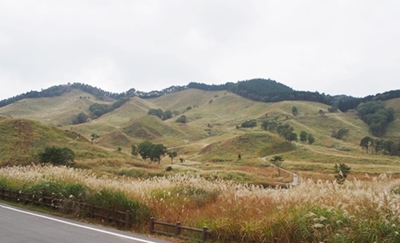 e0289203_1048371.jpg