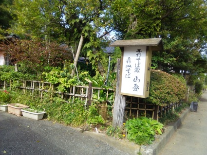 やはり宮ヶ瀬はワタシのオアシス!_c0212604_112327100.jpg