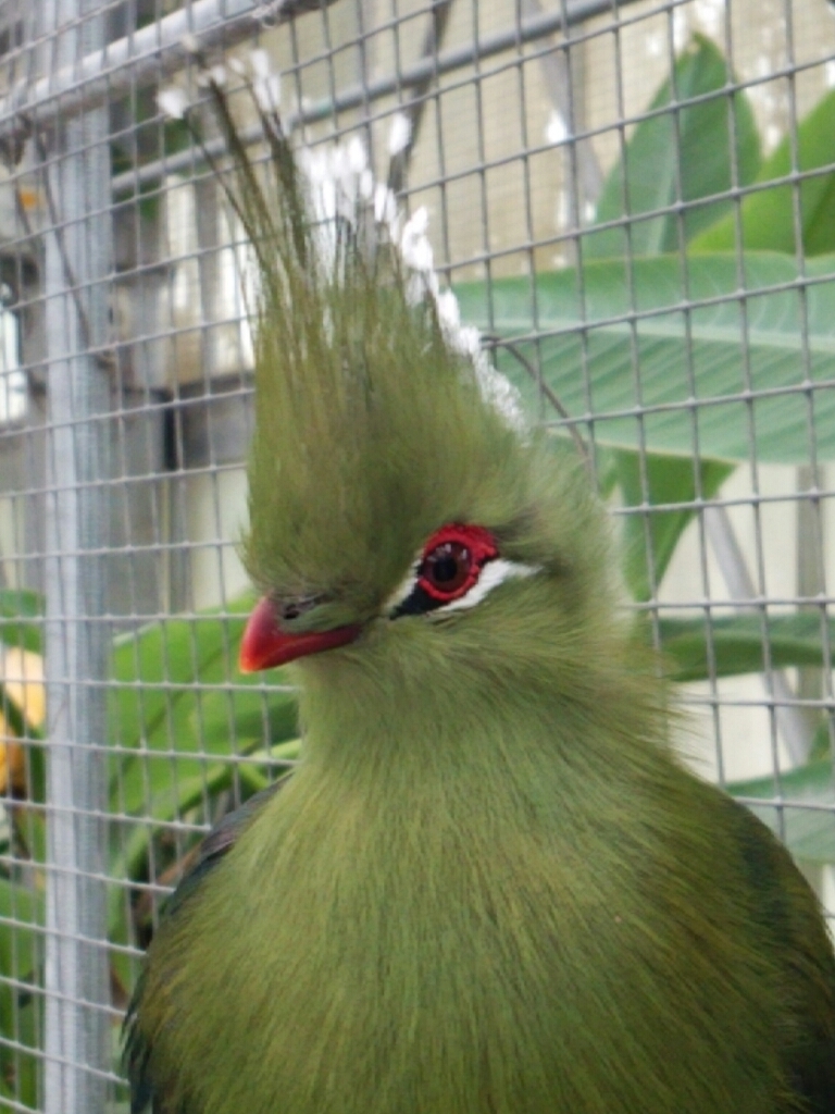 f0373905_16362389.jpg