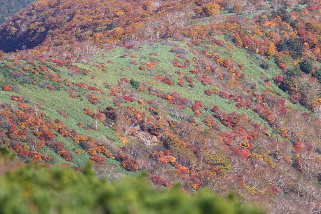紅葉を求めて那須岳へ ５ Photolog