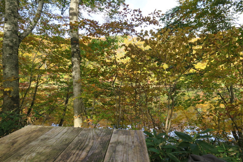 d0103314_14473626.jpg