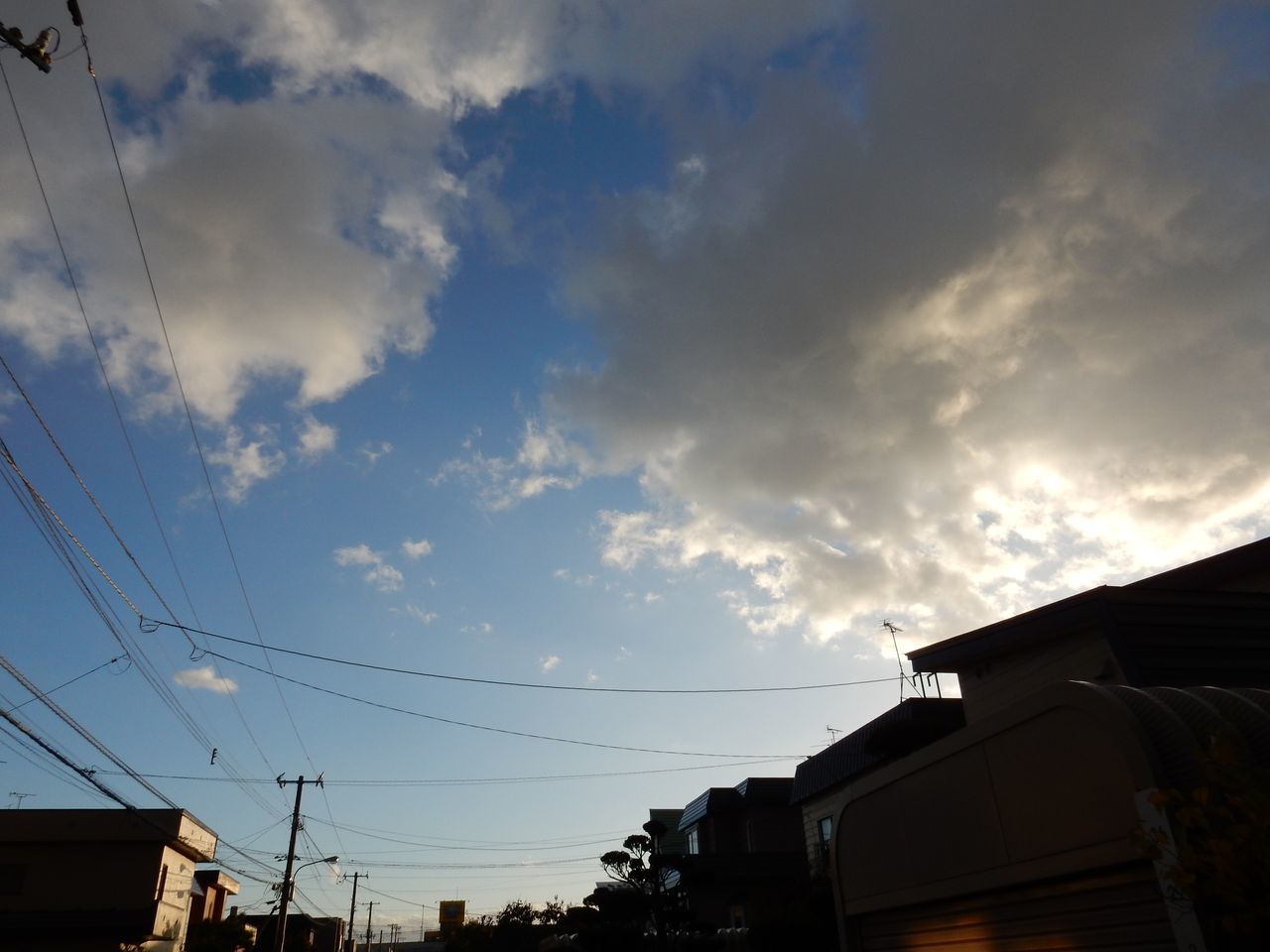 ようやく一瞬の10℃越え_c0025115_20254052.jpg
