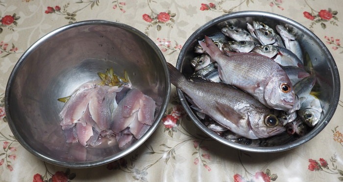 夫の釣果_c0116915_047467.jpg