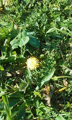 c0074721_15082340.jpg