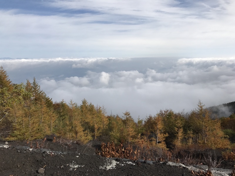 f0234023_17411746.jpg