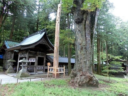 e0234924_11241677.jpg