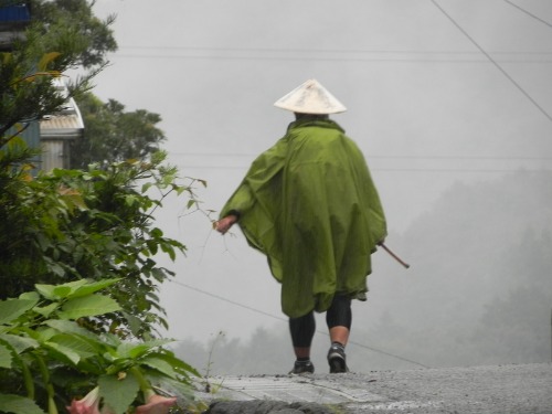 秋時雨・坂本屋千客万来/oga_f0213825_10581320.jpg