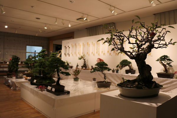東川町文化ギャラリー展示のお知らせ _b0187229_12513752.jpg