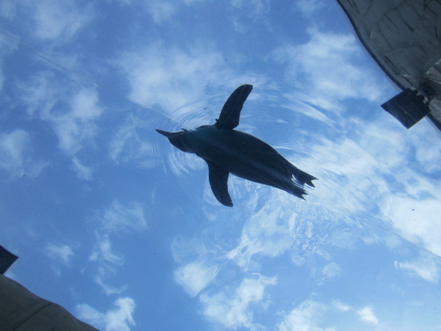 c0248030_08363241.jpg