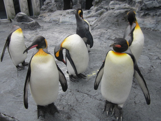 c0248030_08381947.jpg