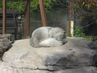 c0248030_08390291.jpg