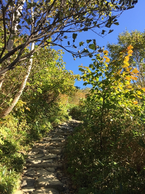 c0113733_97112.jpg