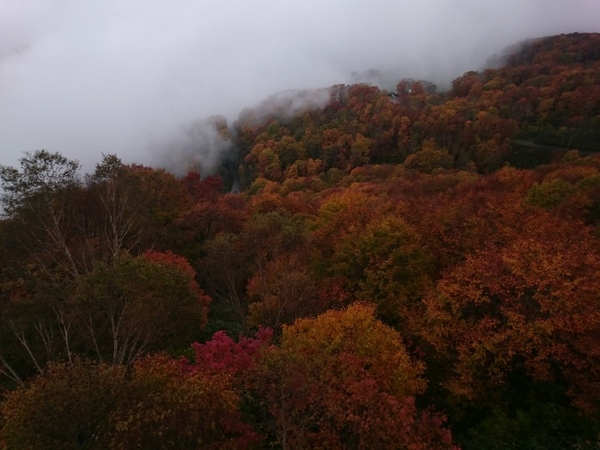 栂池自然園の紅葉　下り_f0224736_13343546.jpg