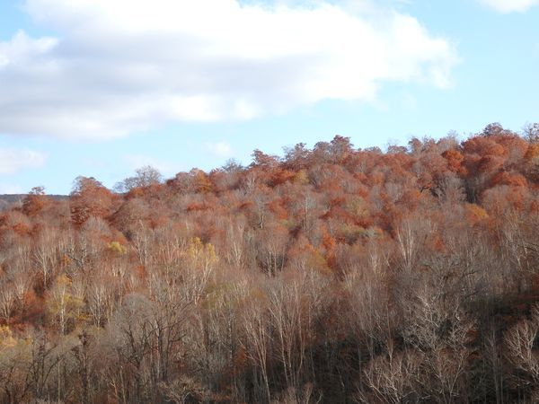 岩泉・大川渓流ロードの紅葉2016_b0206037_22205509.jpg