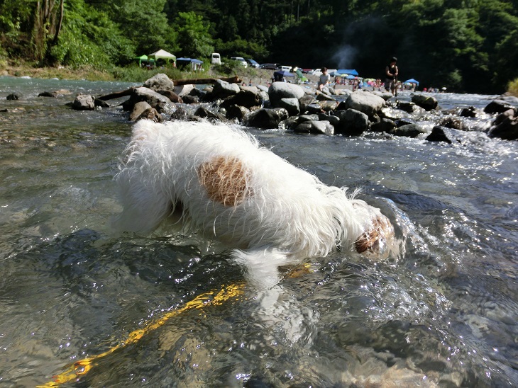 c0156345_1481273.jpg