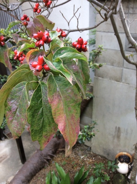 a0307846_09430391.jpg
