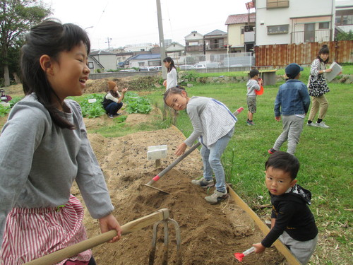 玉ねぎの植え付け　終了です(\'◇\')ゞ_f0079749_19344766.jpg