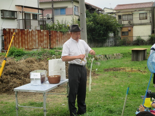 玉ねぎの植え付け 終了です(\'◇\')ゞ_f0079749_19515945.jpg