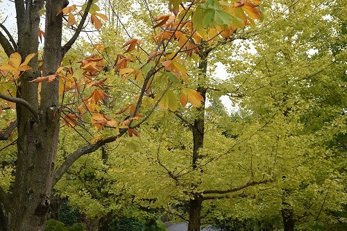 f0343750_21352432.jpg