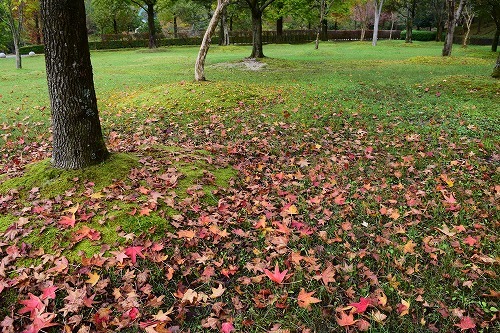 f0343750_21362987.jpg