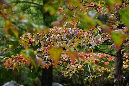 f0343750_21401629.jpg