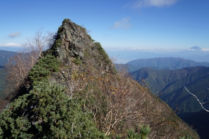 激藪の弘法小屋尾根④＠間ノ岳　2016.10.15(土)～16(日)_f0344554_17492016.jpg