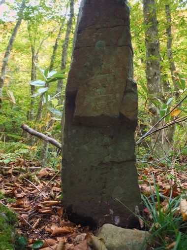 c0294658_01030425.jpg