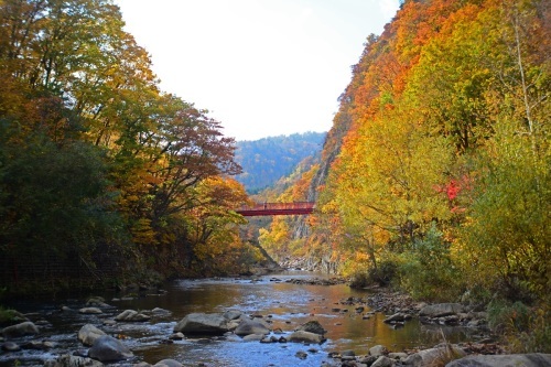 d0333958_22444124.jpg