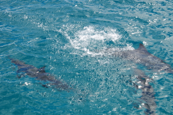 c0327061_07524726.jpg