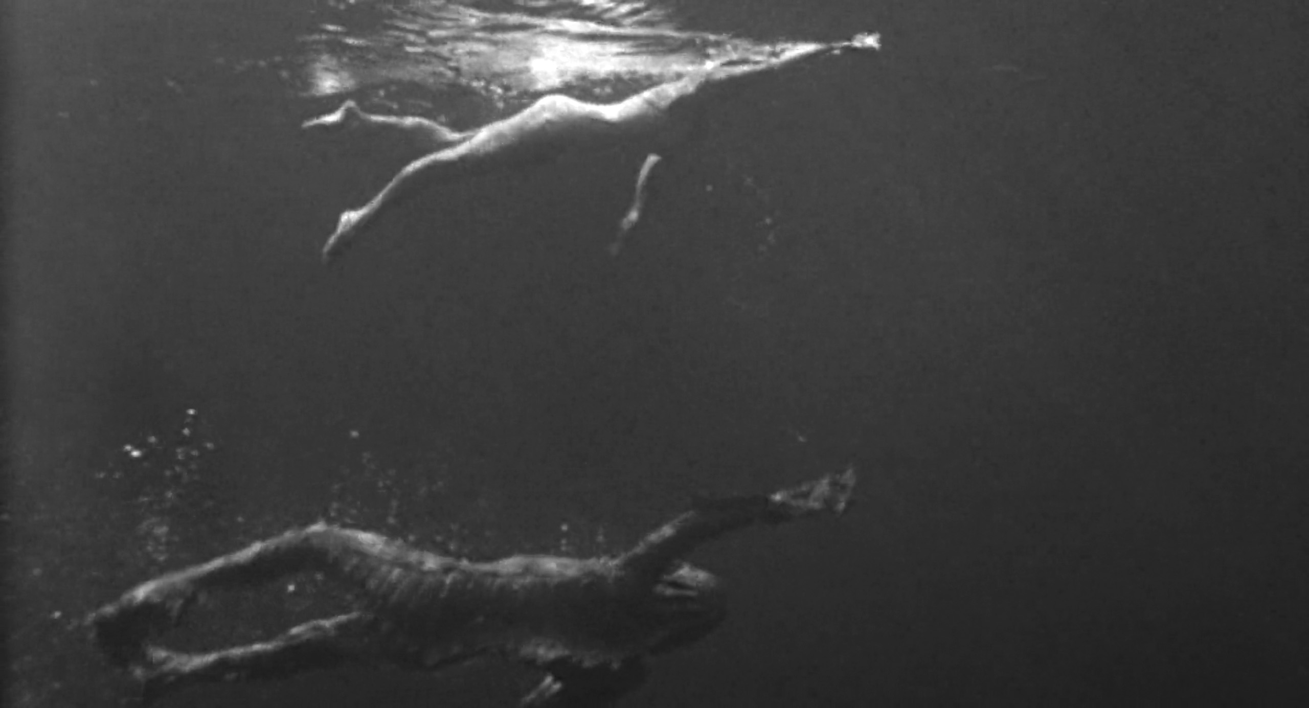 ジュリー・アダムス（Julie Adams）「大アマゾンの半魚人 」（1954）其の弐_e0042361_20564289.jpg