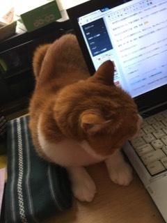 f0363168_09582237.jpeg