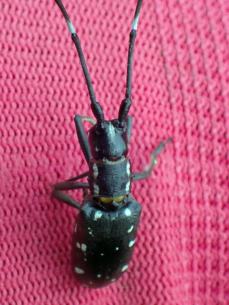 f0131669_13022539.jpg