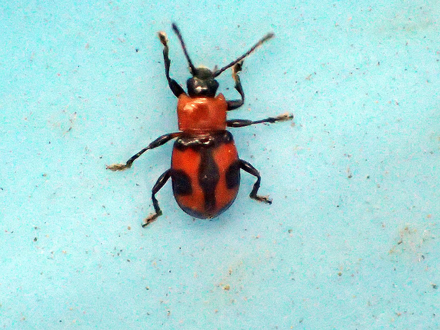 f0131669_13172161.jpg