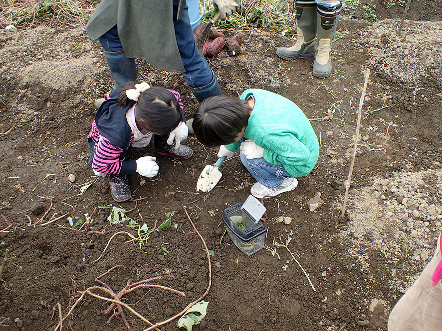 2016.10.22　里山com_f0131669_13183769.jpg