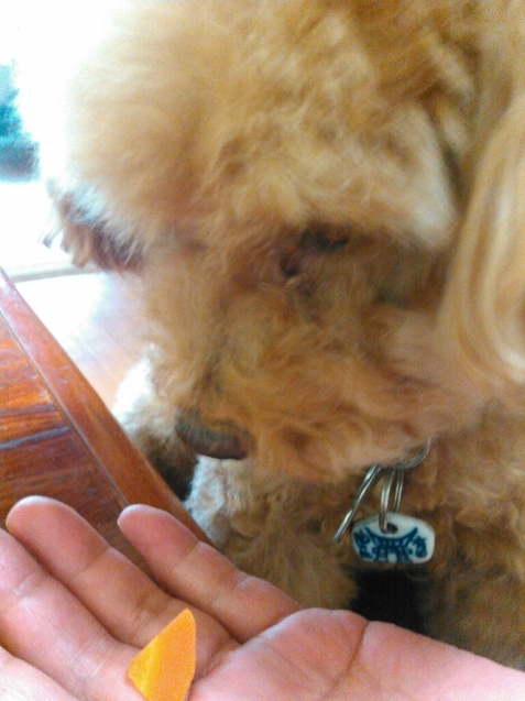 c0162773_00533868.jpg