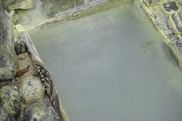 極上の硫黄泉 箱根の野湯へ_c0124076_0592818.jpg