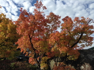 a0233991_20121365.jpg