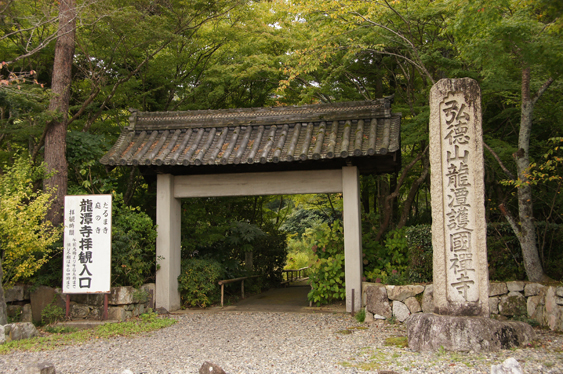 佐和山へ~コゲラちゃん♪(2)_c0139591_732611.jpg
