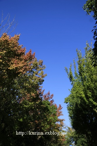 a0123003_18543336.jpg