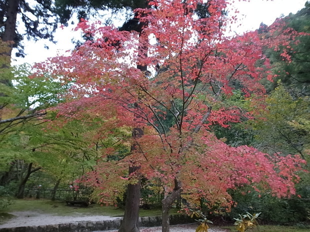 f0197703_16500128.jpg