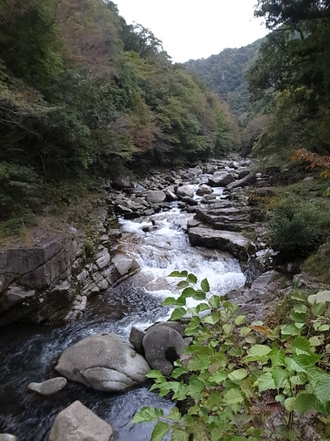 f0197703_17001774.jpg