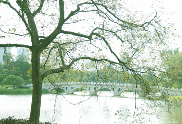 f0370305_14481077.jpg