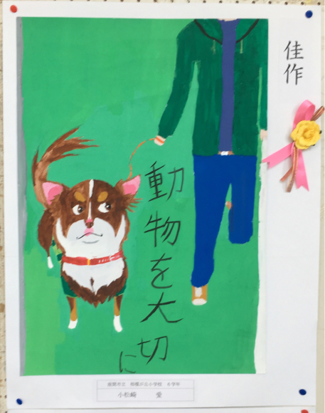 長寿犬の表彰_c0243807_14492872.jpg